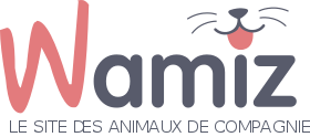 Wamiz